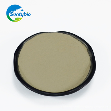 Vente chaude additif probiotiques Bacillus Subtilis